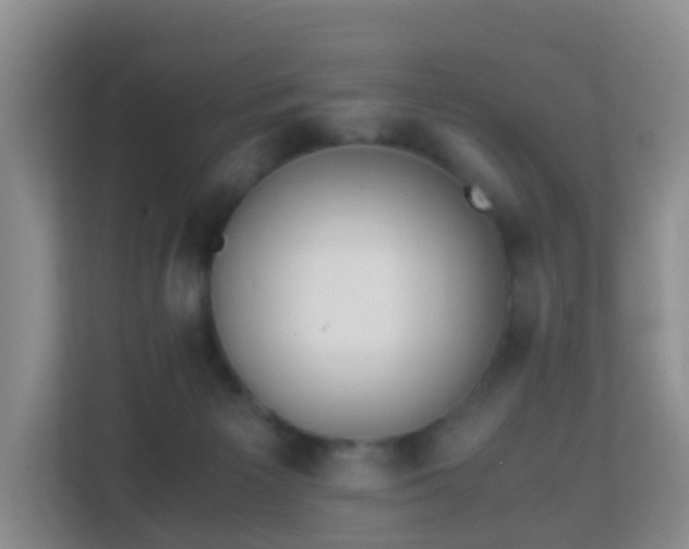 X0000113170125200909111042