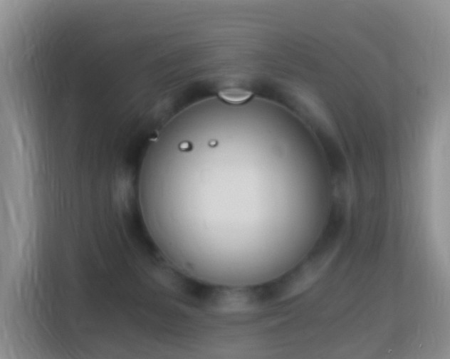 X0000113170127200909111042