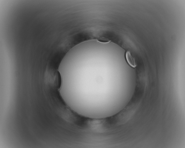 X0000113170129200909111042
