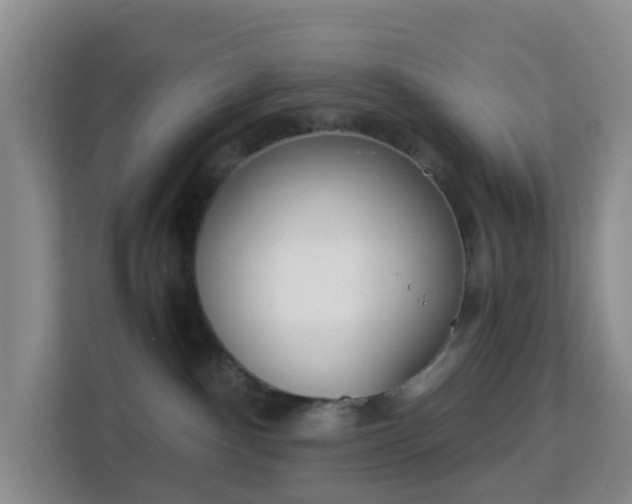 X0000113170140200909111042