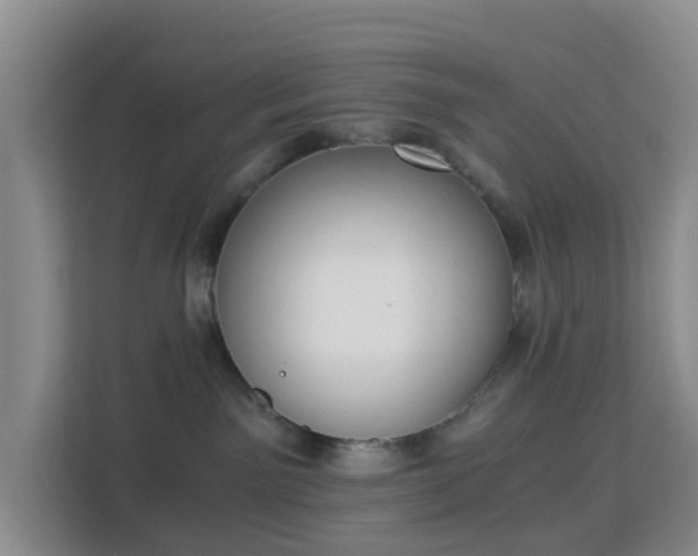 X0000113170141200909111042