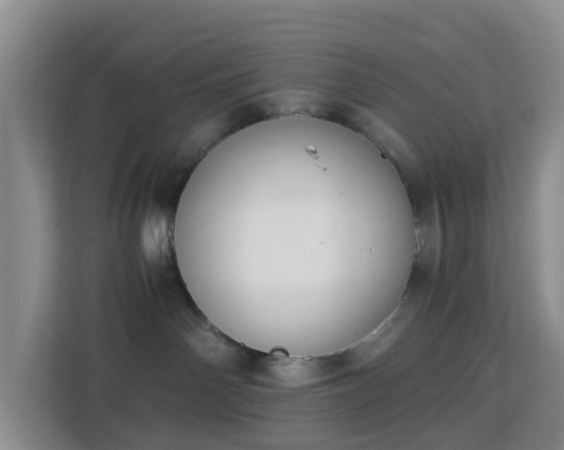 X0000113170142200909111042