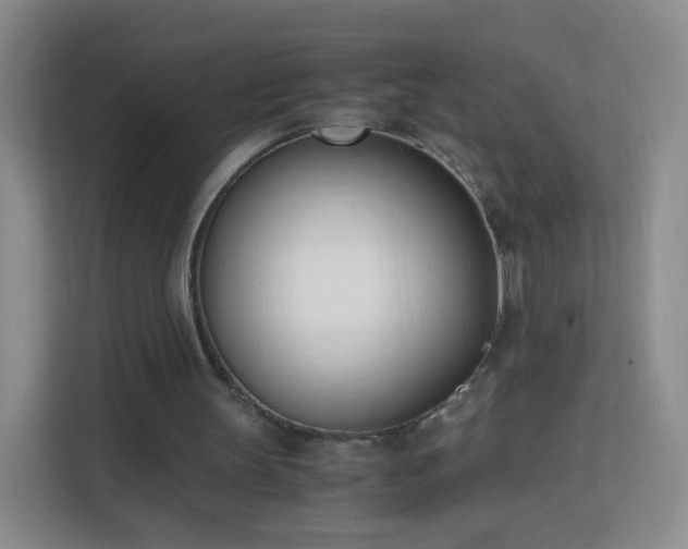 X0000113170147200909111041