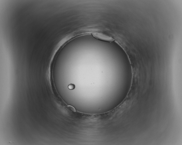 X0000113170148200909111041