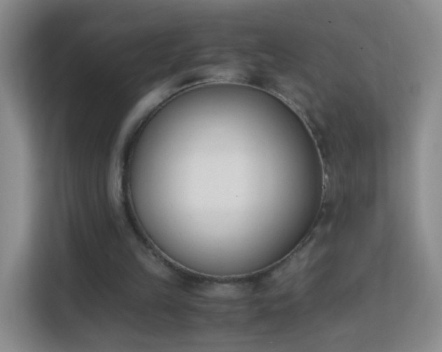 X0000113170149200909111041