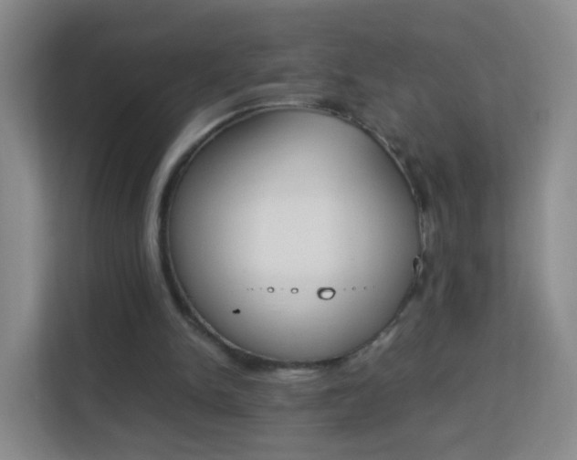 X0000113170150200909111041