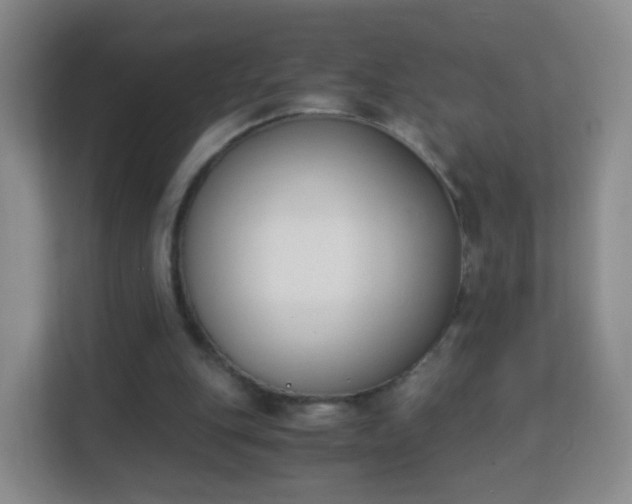 X0000113170151200909111041