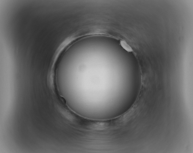 X0000113170152200909111041