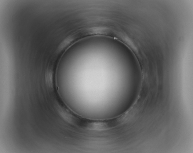 X0000113170154200909111041