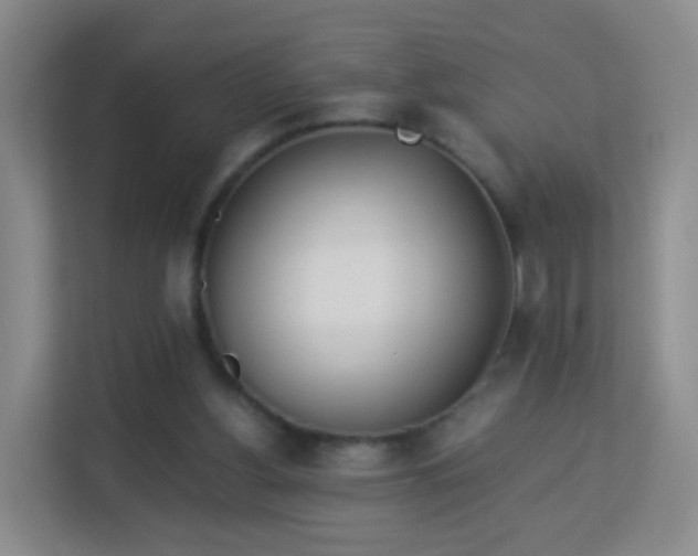 X0000113170156200909111041