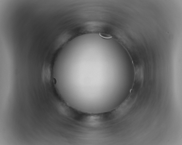 X0000113170158200909111041