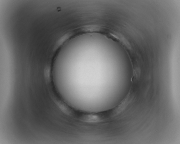 X0000113170159200909111041