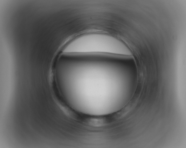 X0000113170160200909111041