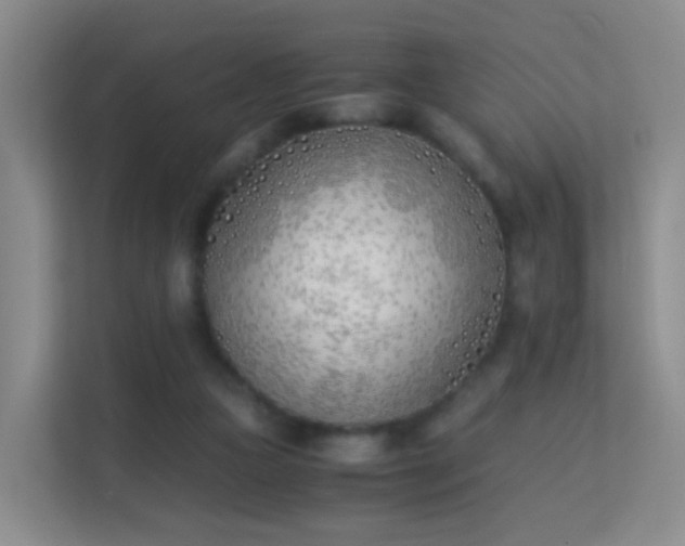 X0000113170161200909111041