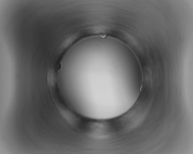 X0000113170164200909111041