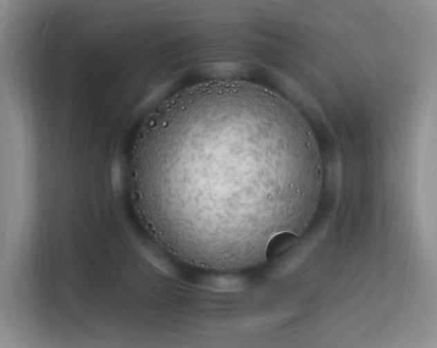 X0000113170165200909111041