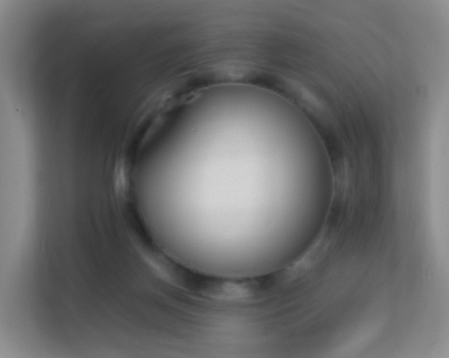 X0000113170166200909111041