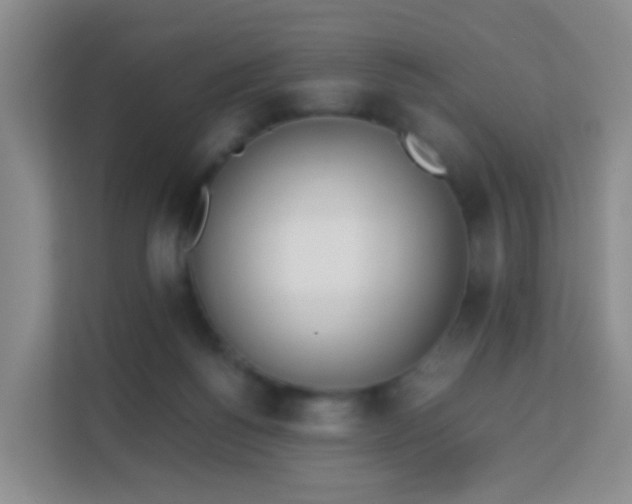 X0000113170168200909111041