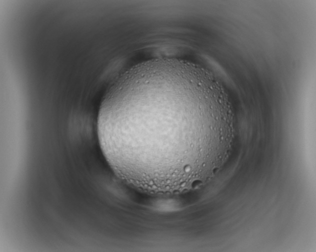 X0000113170169200909111041