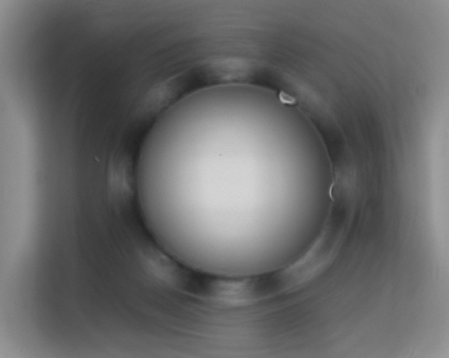 X0000113170170200909111041