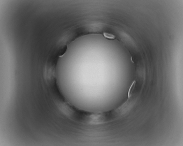 X0000113170172200909111042