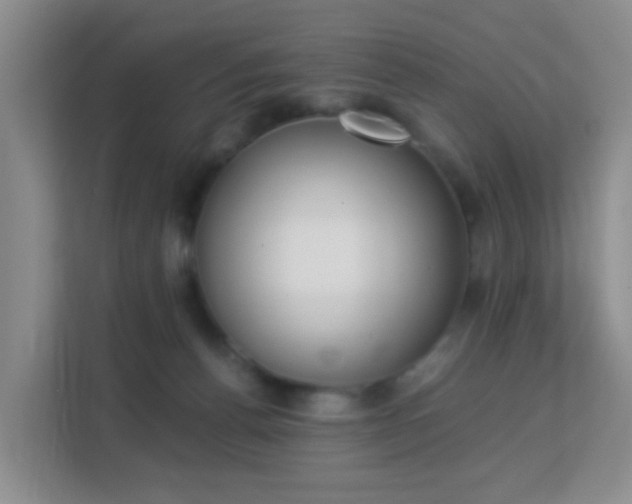 X0000113170176200909111042