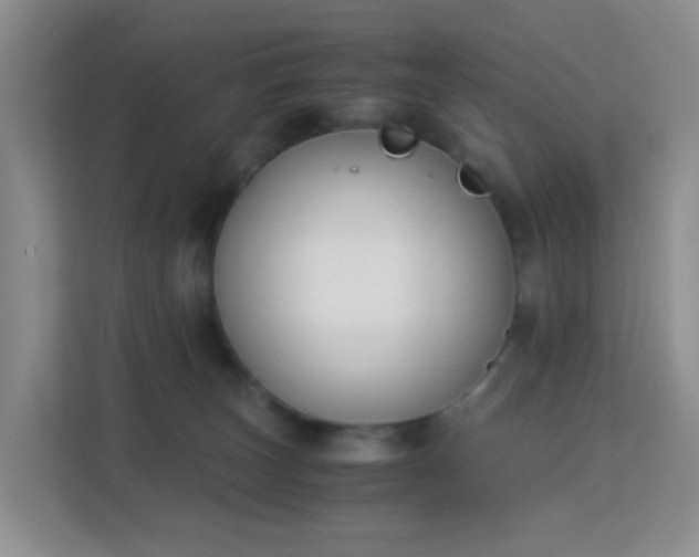 X0000113170179200909111042