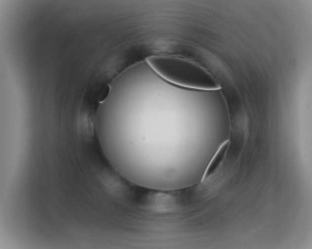 X0000113170180200909111042