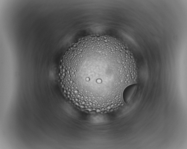 X0000113170181200909111042
