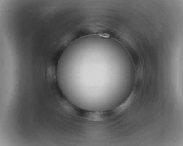 X0000113170182200909111042