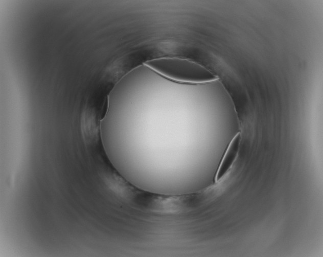 X0000113170186200909111042