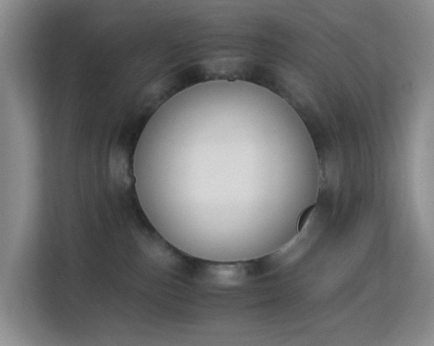 X0000113170187200909111042