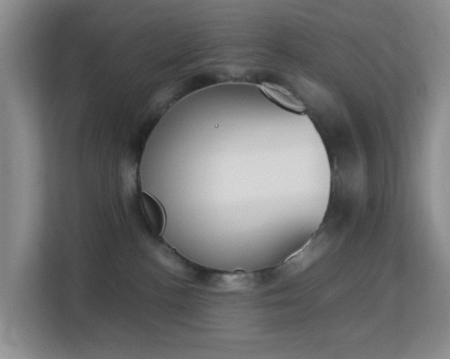 X0000113170188200909111042