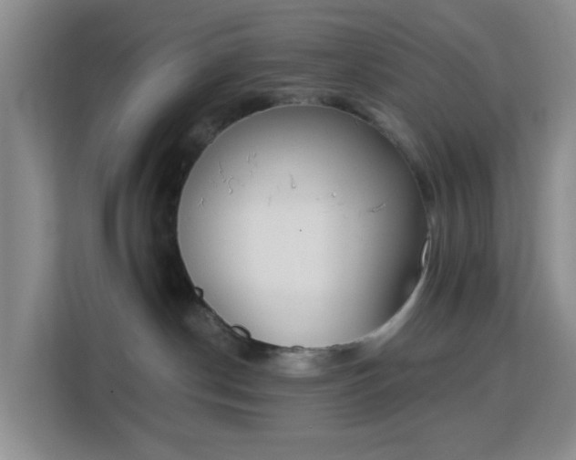 X0000113170190200909111042