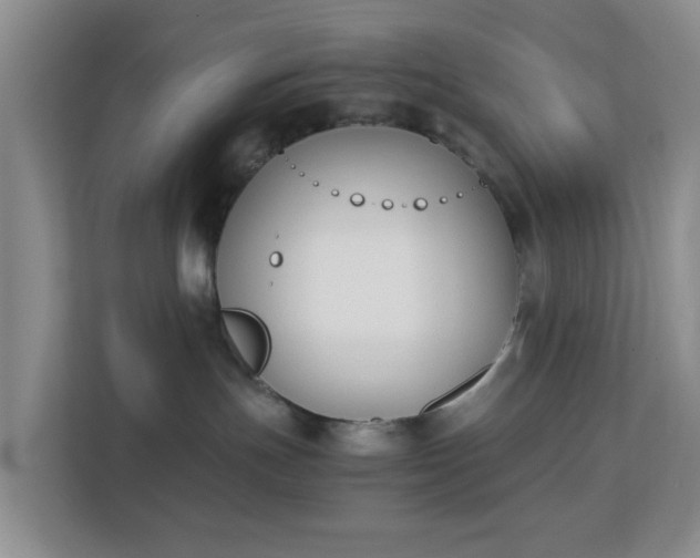 X0000113170191200909111042