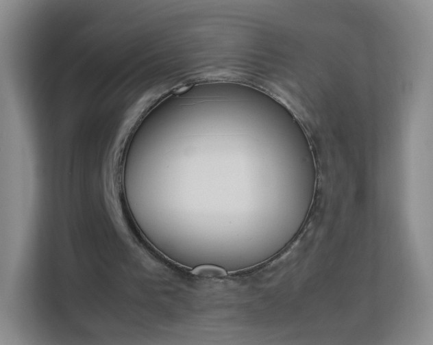 X0000113170193200909111041