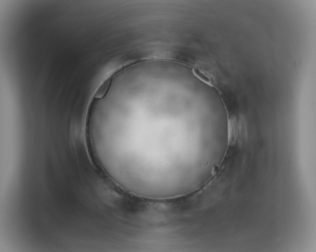 X0000113170195200909111041