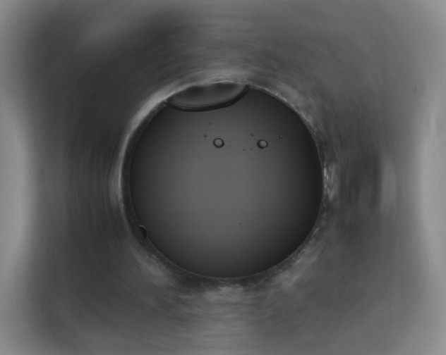 X0000113170196200909111041