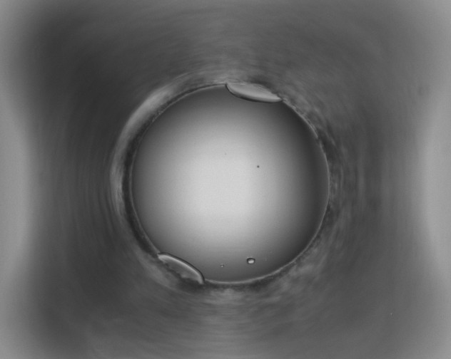 X0000113170197200909111041