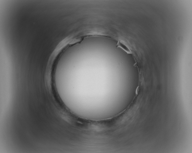 X0000113170199200909111041