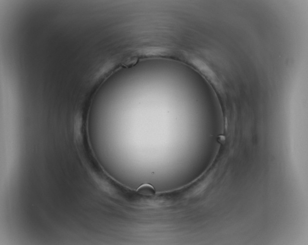 X0000113170201200909111041