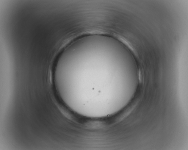 X0000113170205200909111041