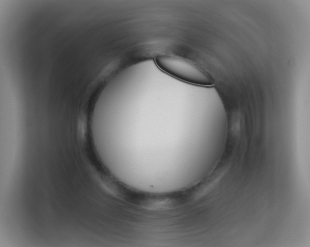X0000113170206200909111041