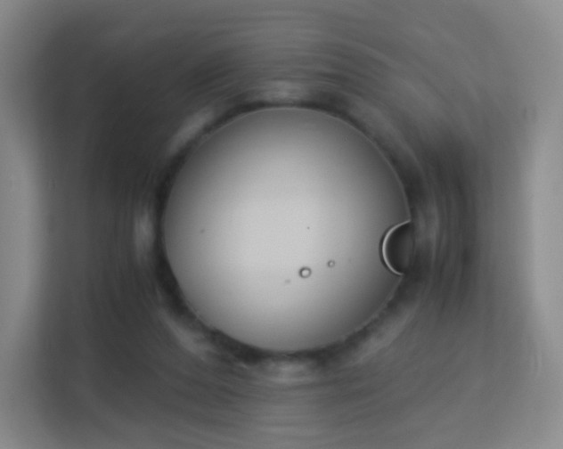 X0000113170208200909111041