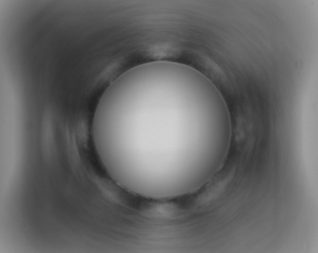 X0000113170210200909111041
