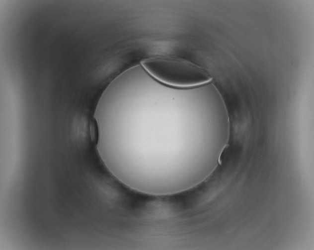 X0000113170211200909111041