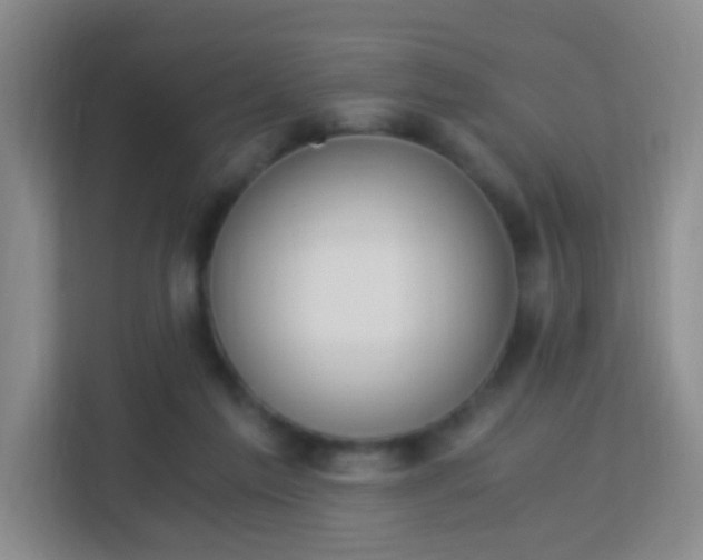 X0000113170213200909111041