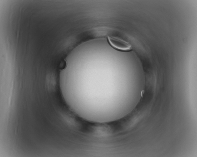 X0000113170215200909111041