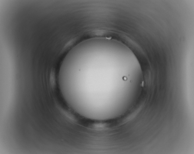 X0000113170216200909111041