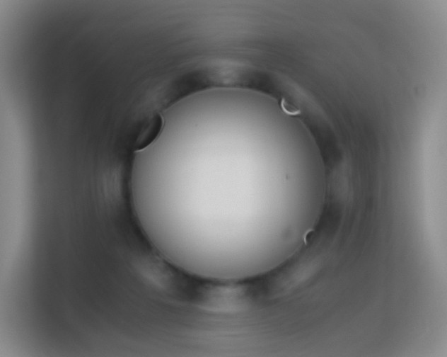 X0000113170217200909111041